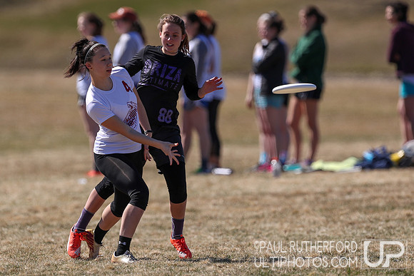 Action from the 2018 New England Open