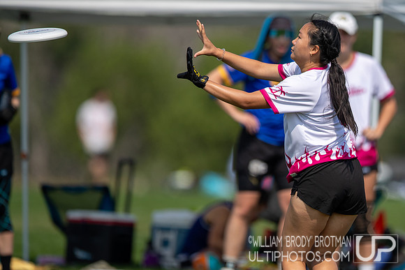 Day 1 of the USA Ultimate U.S. Open ICC Championships
