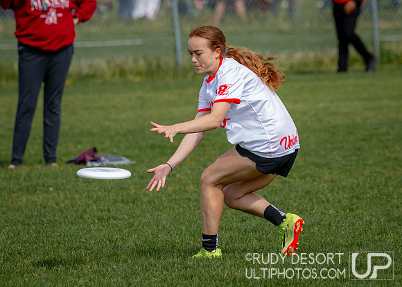 2024 USA Ultimate Division III College Championships ©