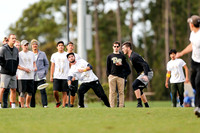 Easterns