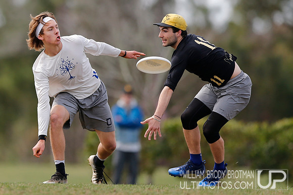 Easterns