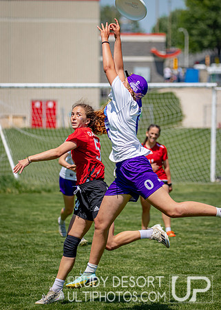 2024 USA Ultimate Division III College Championships ©