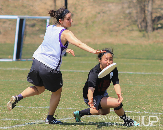 Saturday - Eastern Metro East D-1 College Women's Conference Championships