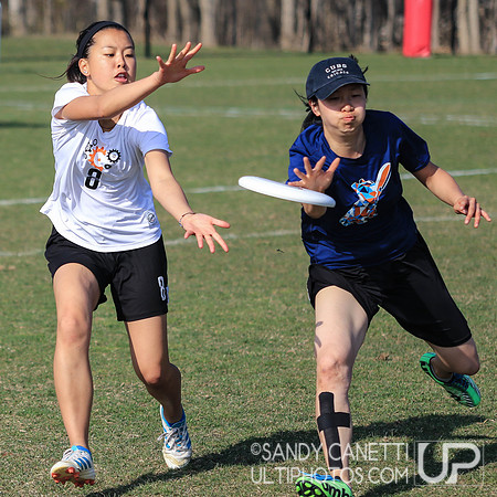 Saturday - Eastern Metro East D-1 College Women's Conference Championships