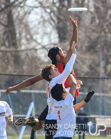 Saturday - Metro NY D-1 College Men's Conference Championships