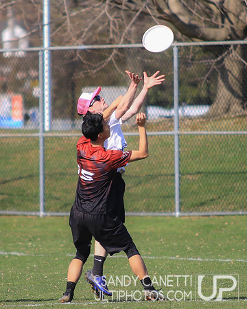Saturday - Metro NY D-1 College Men's Conference Championships