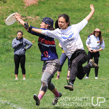 Sunday - Metro East D-I College Women's Regionals