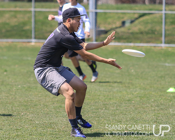 Saturday - Metro NY D-1 College Men's Conference Championships