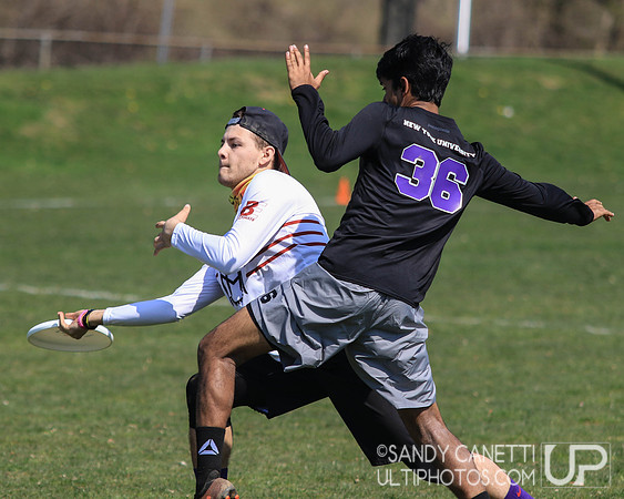 Saturday - Metro NY D-1 College Men's Conference Championships