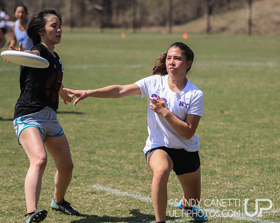 Saturday - Eastern Metro East D-1 College Women's Conference Championships