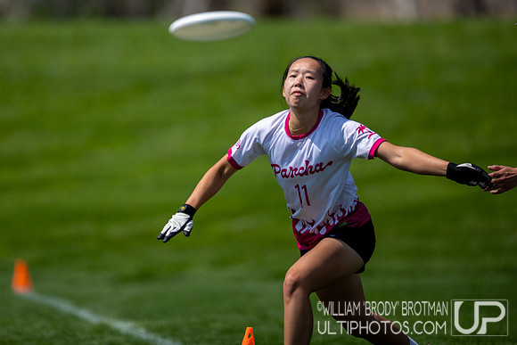 Day 1 of the USA Ultimate U.S. Open ICC Championships