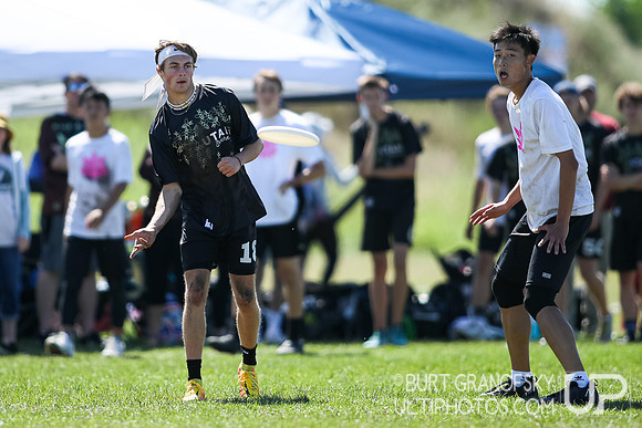 USA Ultimate YCC 2022 -- U20 Boys Semifinals Action
