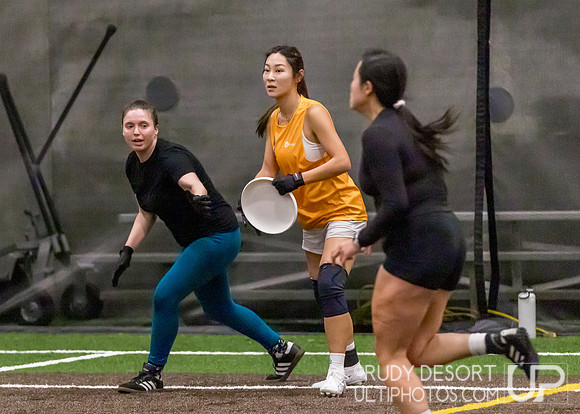 Season 2 Finals; Chicago Indoor Ultimate League
