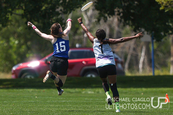Molly Grey Soar! *sore