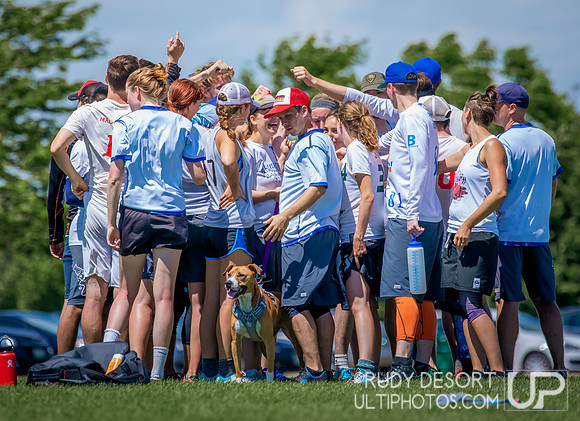 BICI  2018
