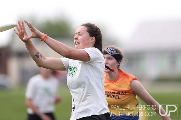 2018 USAU D1 College Championships
