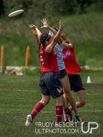 Wiss Swiss 2018