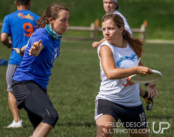 Wiss Swiss 2018