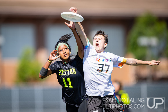 Brute Squad vs. Scandal in finals at USAU Club Championships