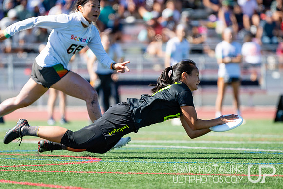Brute Squad vs. Scandal in finals at USAU Club Championships