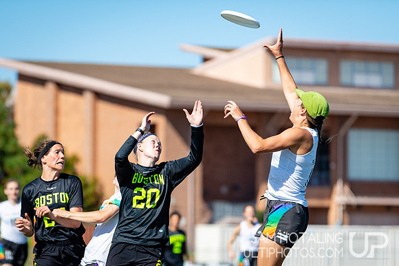 Brute Squad vs. Scandal in finals at USAU Club Championships