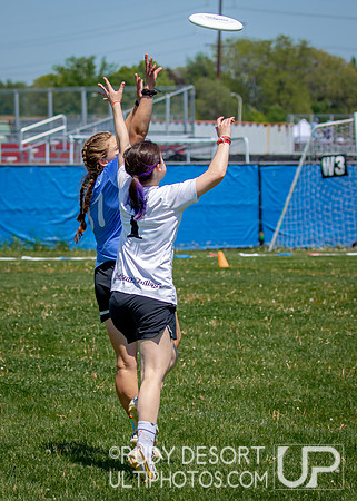 2024 USA Ultimate Division III College Championships ©