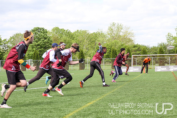 Day 3 of USA Ultimate D-III College Championships