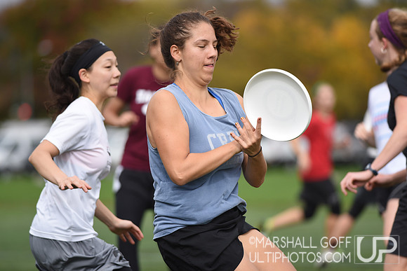 Harvard 40th Ultimate Reunion