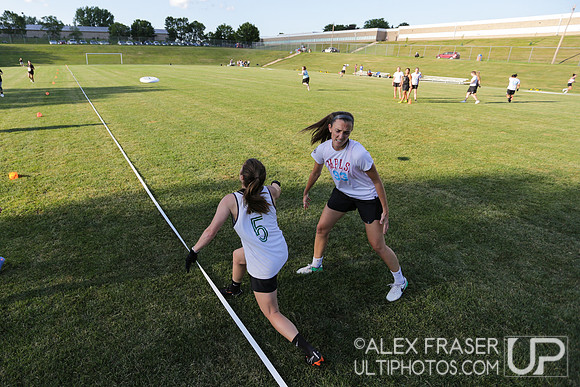 2018 Pop vs Black Widows Exhibition