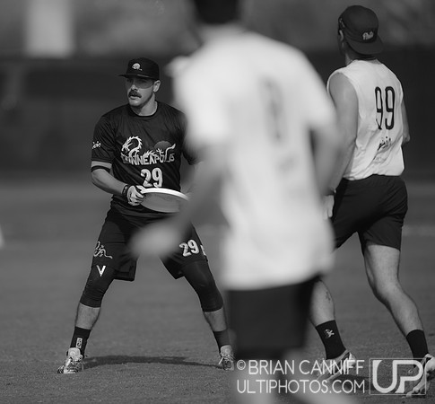 AMP v. Drag'n Thrust2023 USA Ultimate Club Championships