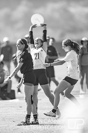 AMP v. Drag'n Thrust2023 USA Ultimate Club Championships