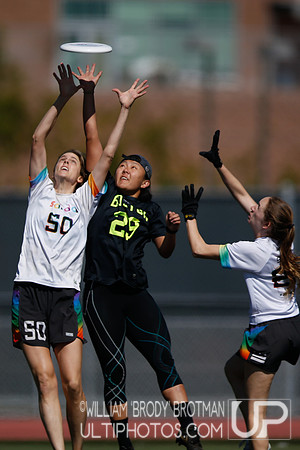 Day 4 of USA Ultimate 2023 Club Championships.