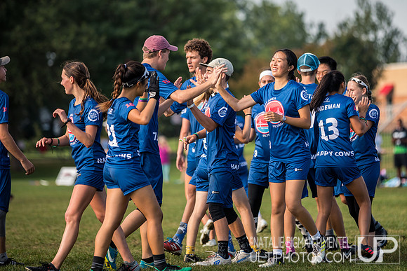 YCC 2018