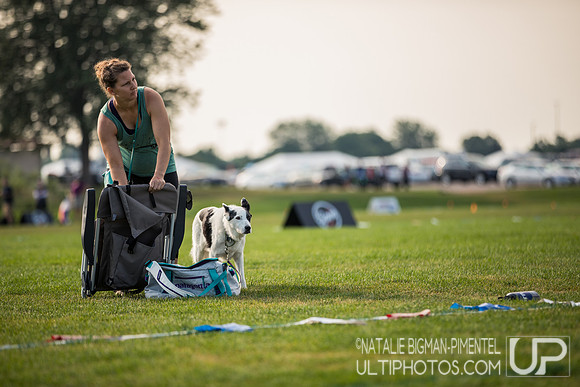 YCC 2018