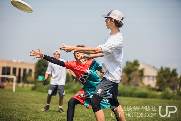 YCC 2018