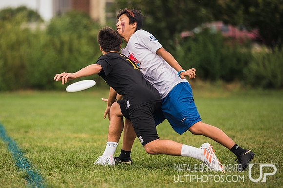 YCC 2018