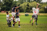 YCC 2018