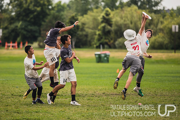 YCC 2018