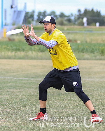 World Masters Ultimate Club Championships - Wednesday