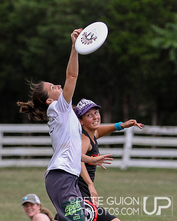 Chesapeake Open
