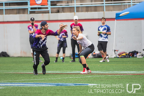 International Club Championships 2018