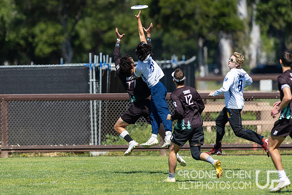 2025 USAU NorCal D1 Conference Championships