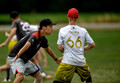 Colony vs Wildcats - Round of 16 - Playoffs (1st to 16th) - Men's Division - WUCC 2018