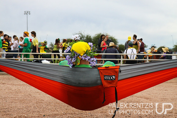 Hoasis 2014 from Tucson, Arizona Sat Dec 6