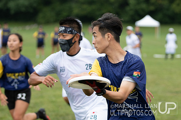 Fireflies vs IKU