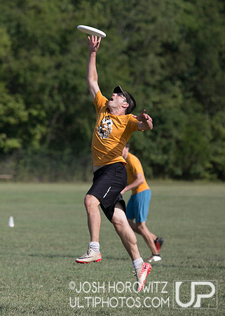 Capital Sectionals Sunday 2014