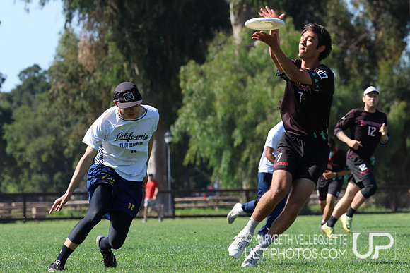 NorCal D1 Conference Championships