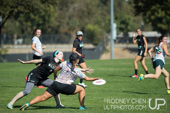 2018 Southwest Club Regionals: Viva vs Wildfire