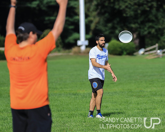 Sunday highlights - 2018 USAU Northeast Regionals