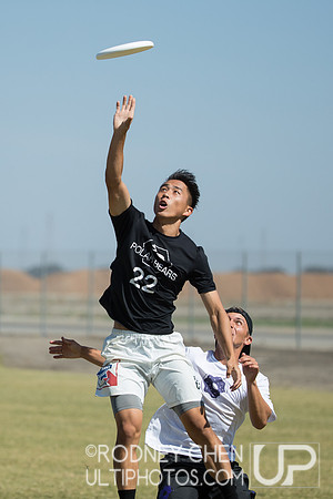 2018 Southwest Club Regionals: Donuts vs Polar Bears
